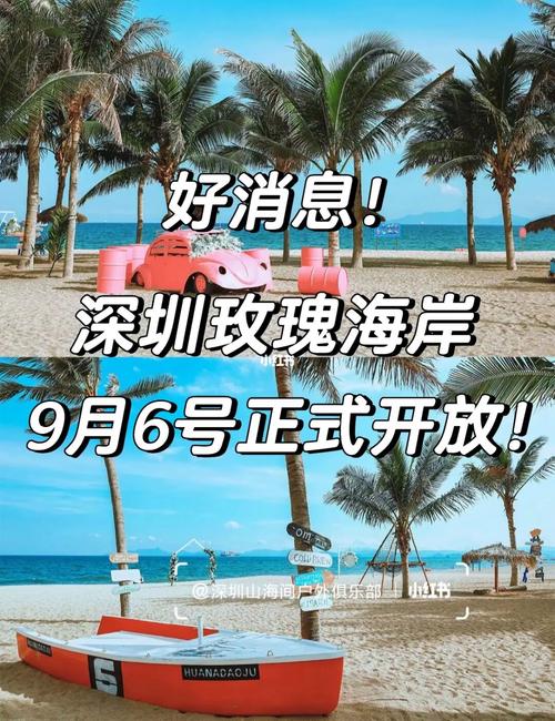 深圳玫瑰海岸要预约吗_深圳玫瑰海岸要预约吗今天