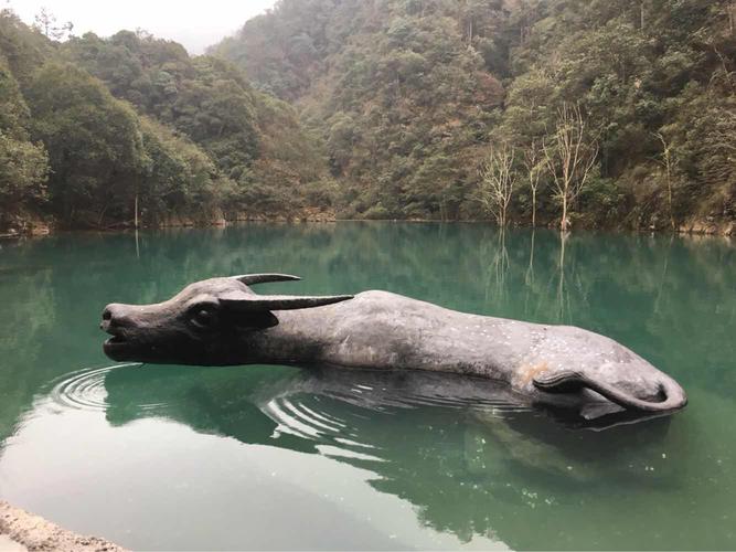 武义牛头山旅游攻略_武义牛头山风景区门票